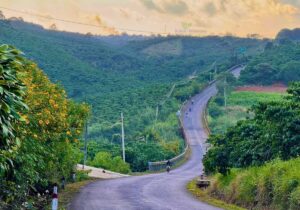 Tour Tây Nguyên 5 ngày 4 đêm | Miệt Vườn Daily Travel - cung đường Tây Nguyên