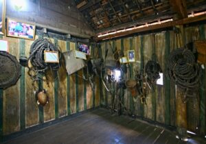 Tour Tây Nguyên 5 ngày 4 đêm | Miệt Vườn Daily Travel - dụng cụ săn voi