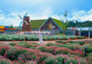 Tour Đà Lạt 3 ngày 2 đêm | Miệt Vườn Daily Travel - Fresh Đà Lạt