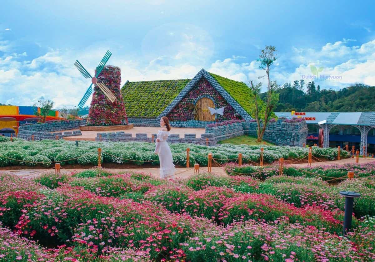 Tour Tây Nguyên 5 ngày 4 đêm | Miệt Vườn Daily Travel - Fresh Đà Lạt