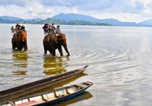 Tour Tây Nguyên 5 ngày 4 đêm | Miệt Vườn Daily Travel - Cưỡi voi Hồ Lak