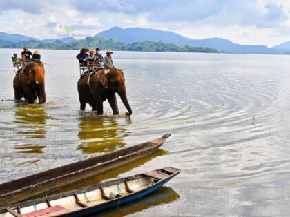 Tour Tây Nguyên 3 ngày 2 đêm | Miệt Vườn Daily Travel - Cưỡi voi Hồ Lak