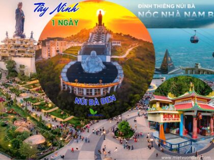 Tour Tây Ninh 1 ngày | Miệt Vườn Daily Travel - Núi Bà Đen - Toà Thánh Cao Đài - Chùa Gò Kén