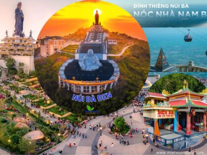 Tour Miền Tây 3 ngày | Miệt Vườn Daily Travel - Vũng Tàu - Tây Ninh - TP.HCM