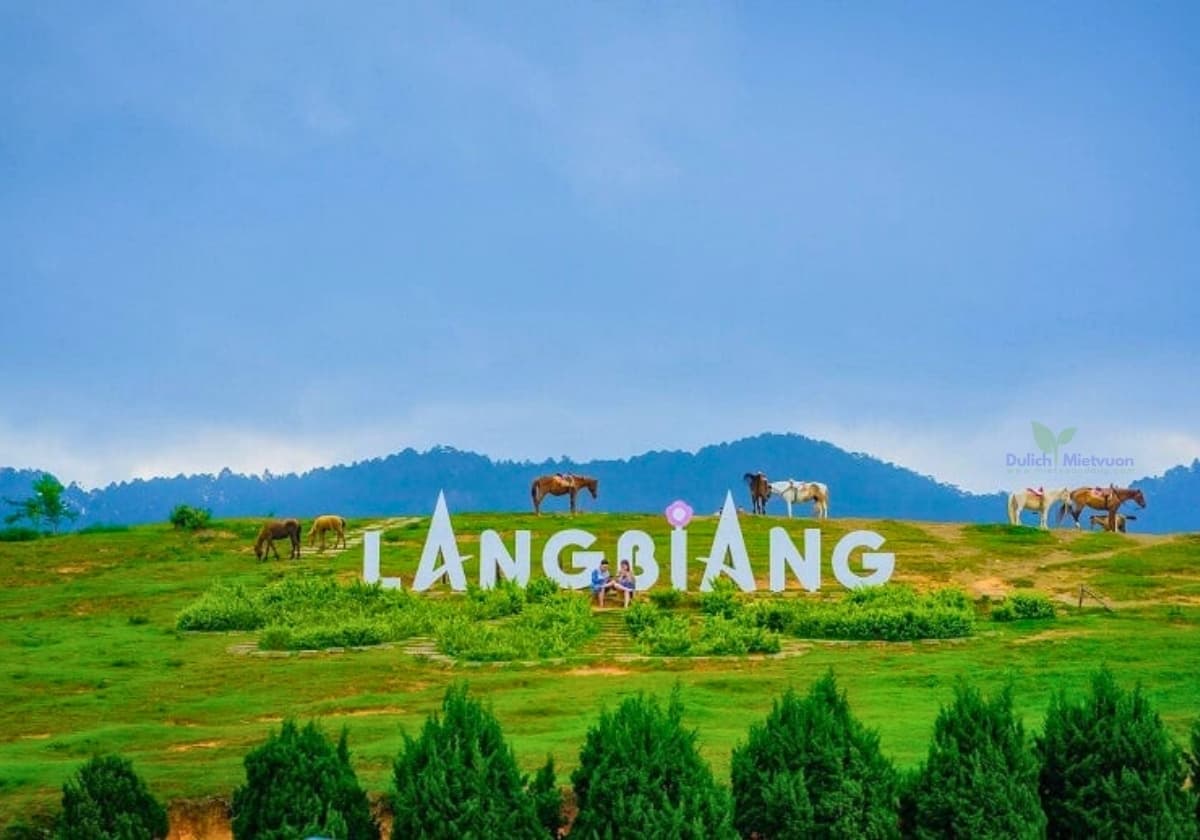 Tour Nha Trang Đà Lạt 5 ngày 4 đêm | Miệt Vườn Daily Travel - Langbiang