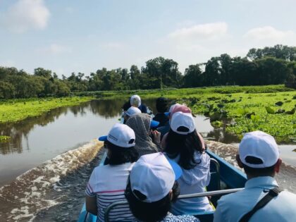rung-tram-tra-su-4 Tour Miền Tây 4 ngày | Miệt Vườn Daily Travel - Châu Đốc - Cần Thơ - Cà Mau