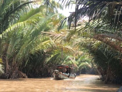 Tour Miền Tây 2 ngày | Miệt Vườn Daily Travel - Bến Tre - Cần Thơ - Rừng Tràm Hậu Giang