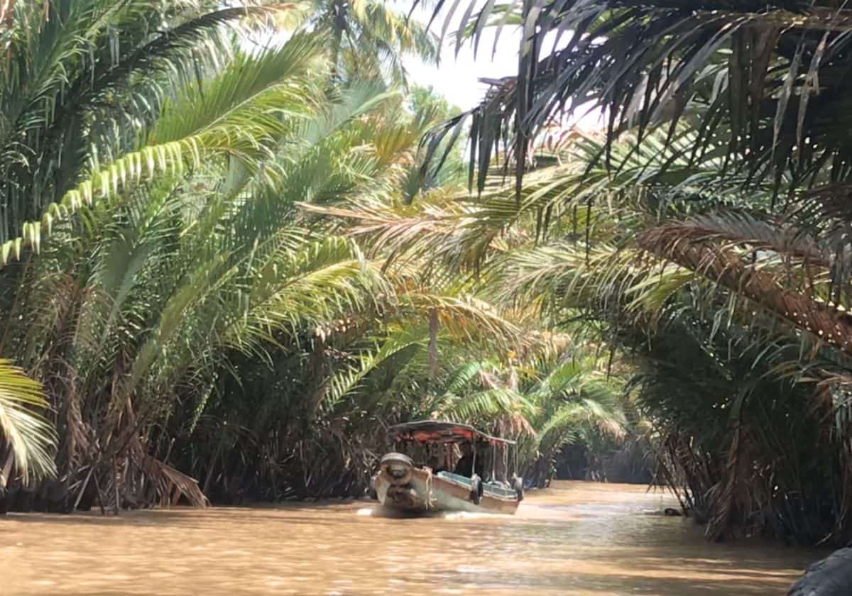 Tour Miền Tây 2 ngày | Miệt Vườn Daily Travel - Bến Tre - Cần Thơ - Rừng Tràm Hậu Giang